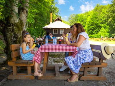 img_0514_52198961853_o